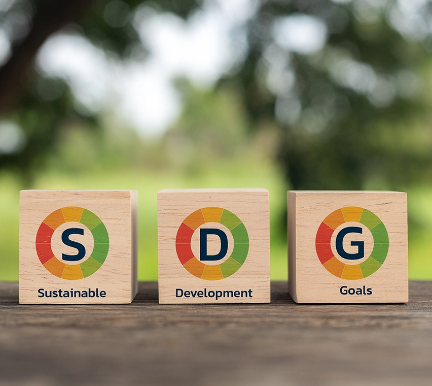 SDGs